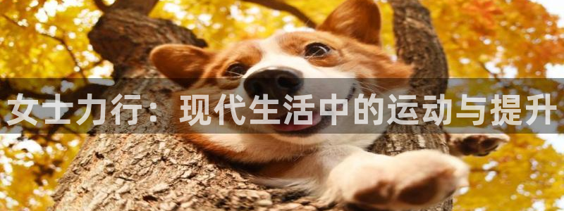 xk星空体育官网下载娱乐：女士力行：现代生活中的运动