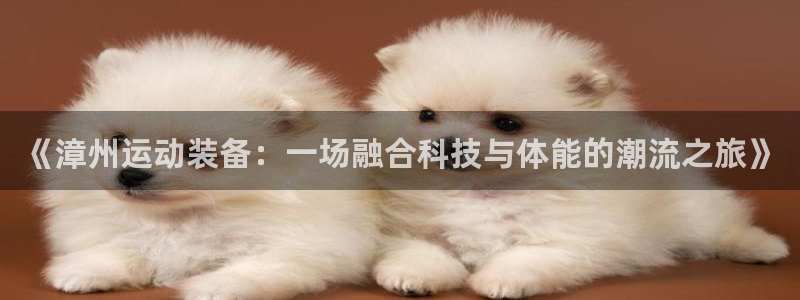 xk星空体育官方正版app娱乐代理怎么样