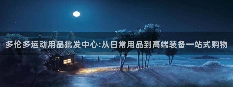 xk星空体育官方正版app集团简介：多伦多运动用品批